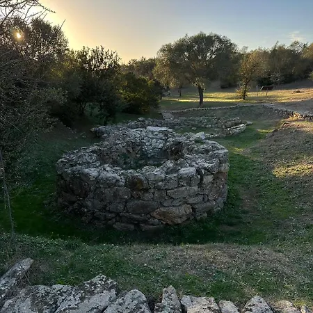 Апартаменти Wanna's Ольбія