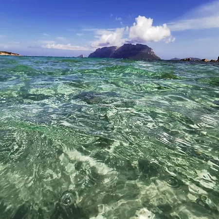 Апартаменти Wanna's *