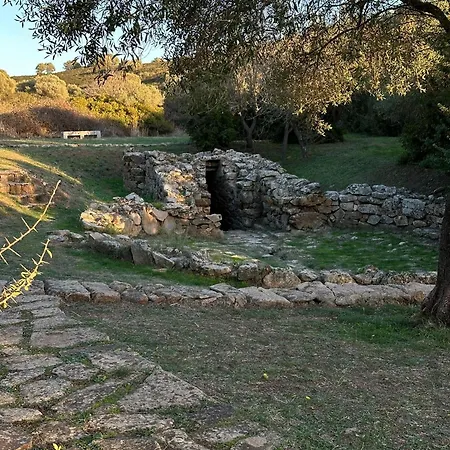 Wanna's * Olbia