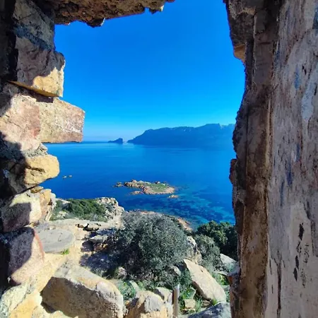 Wanna's Olbia